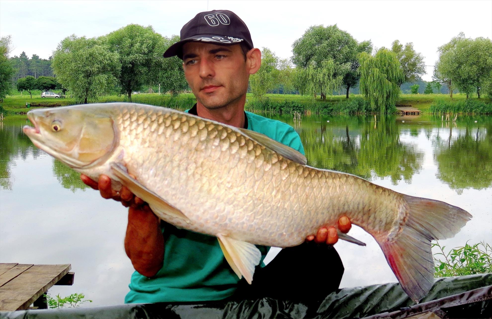 Palici - img5646-850-kg-ok.jpg